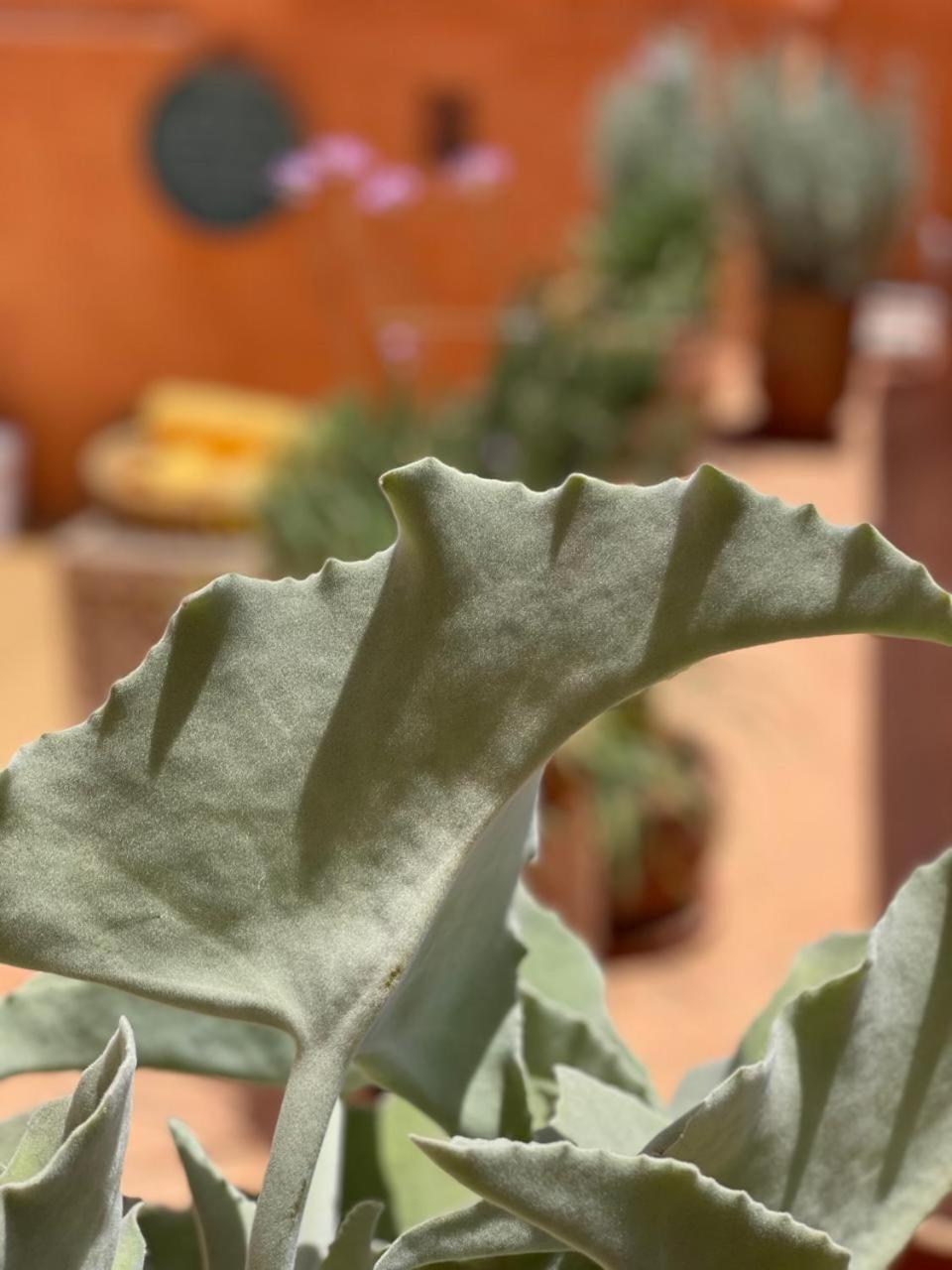 Dar El Qadi Hotel Marrákes Kültér fotó