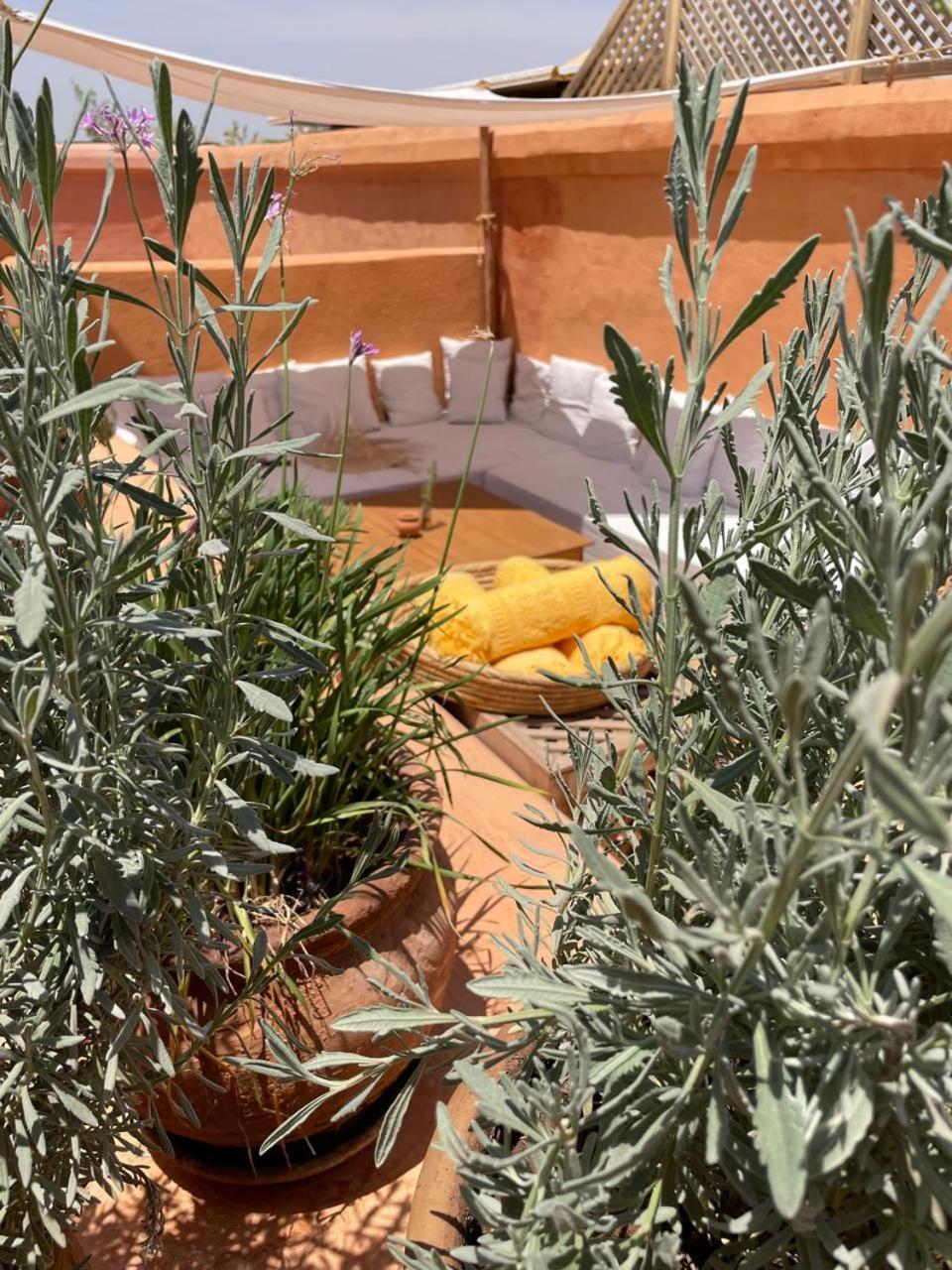 Dar El Qadi Hotel Marrákes Kültér fotó